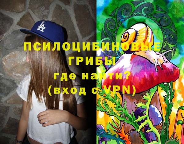 стафф Волоколамск