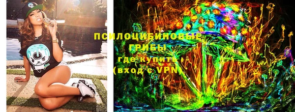 ГАЛЛЮЦИНОГЕННЫЕ ГРИБЫ Володарск