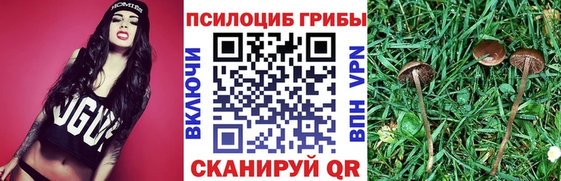 Купить закладки  Наро-Фоминск  Псилоцибиновые грибы Psilocybe 