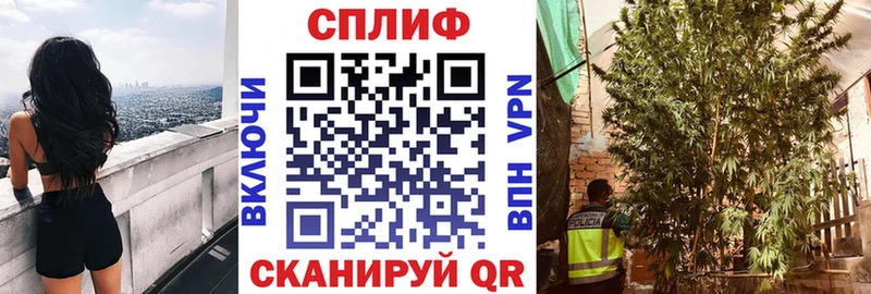 Каннабис OG Kush  Купить где  Наро-Фоминск 